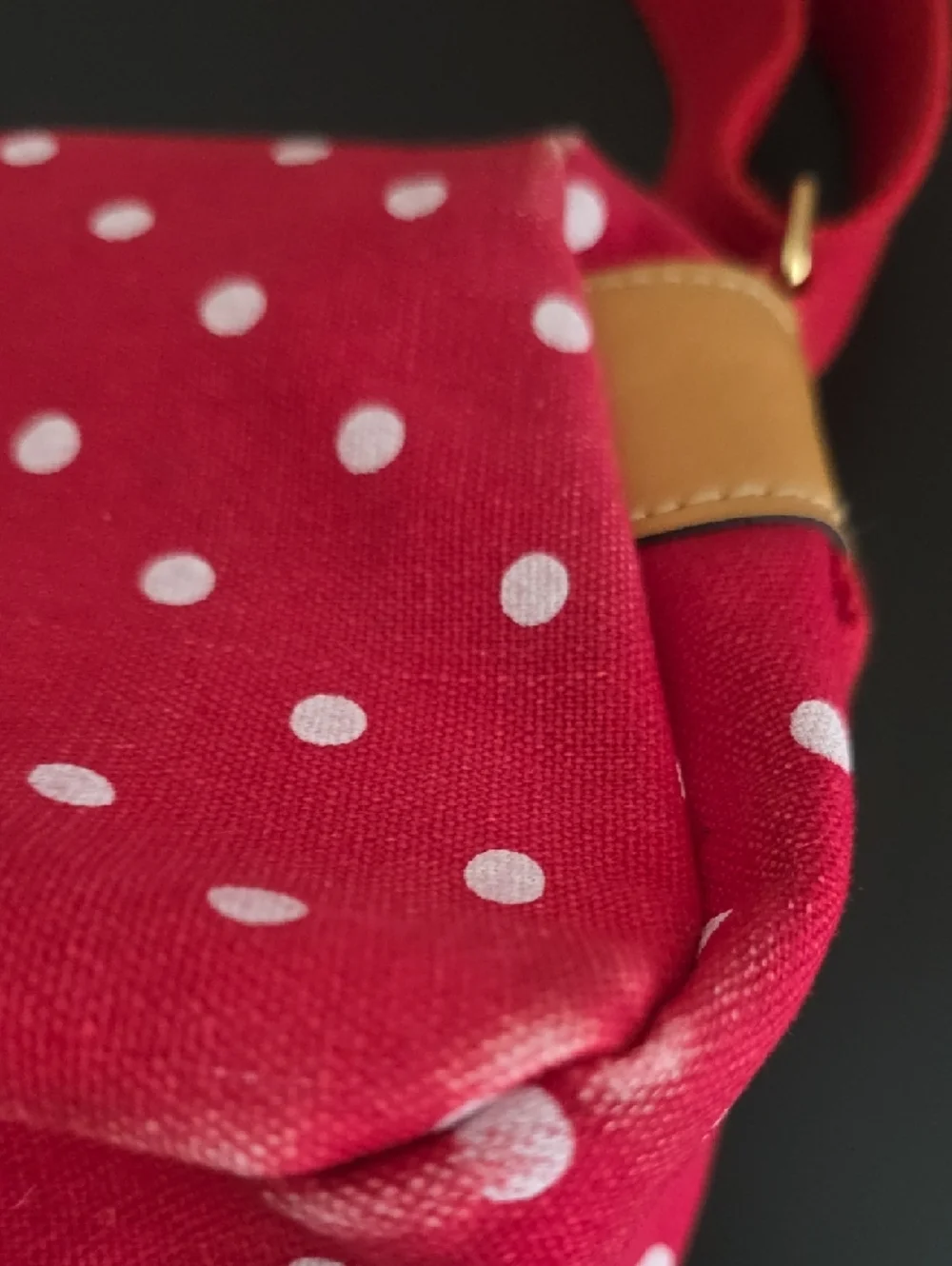 Capezio Polkadot Crossbody Bag